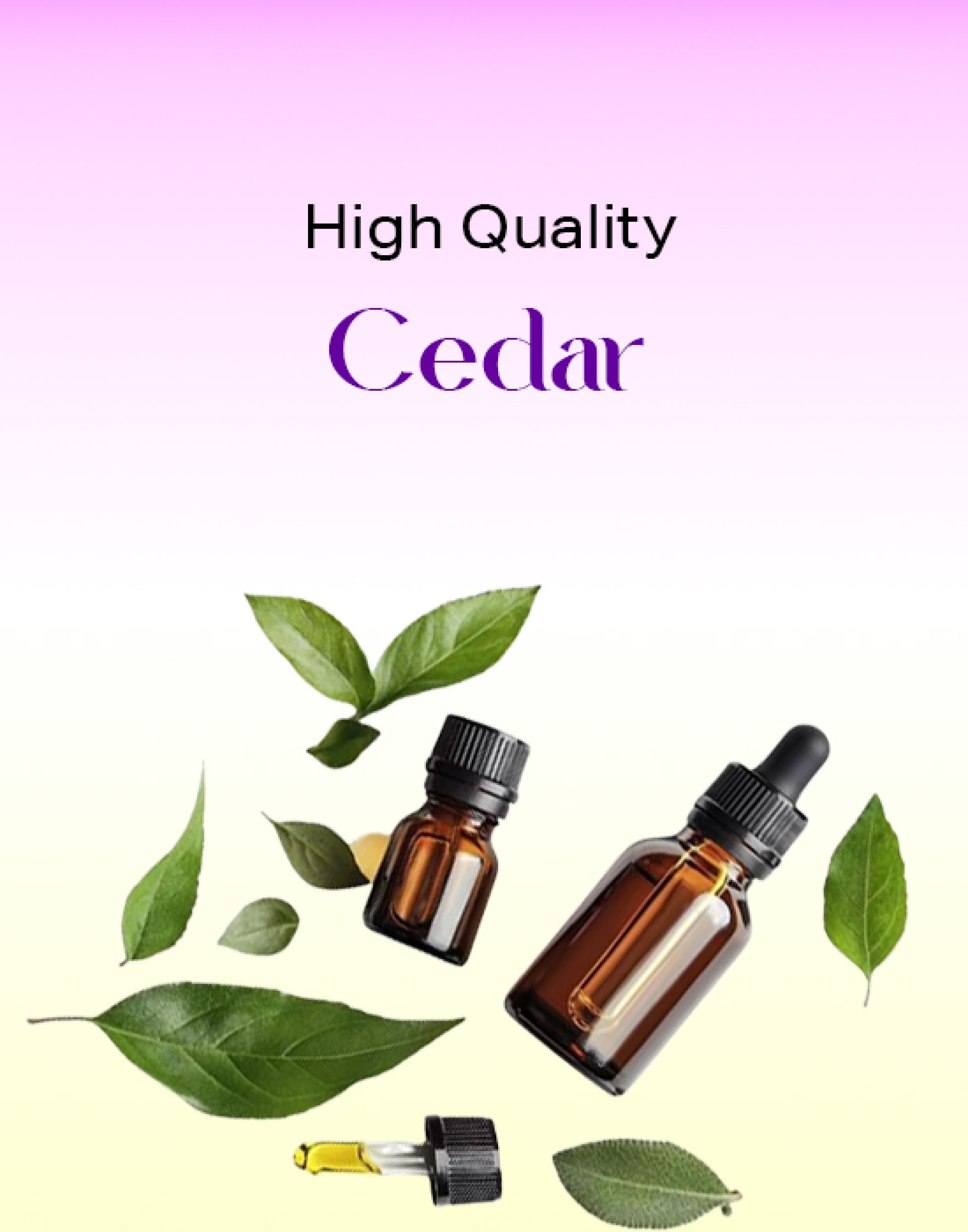 Cedar