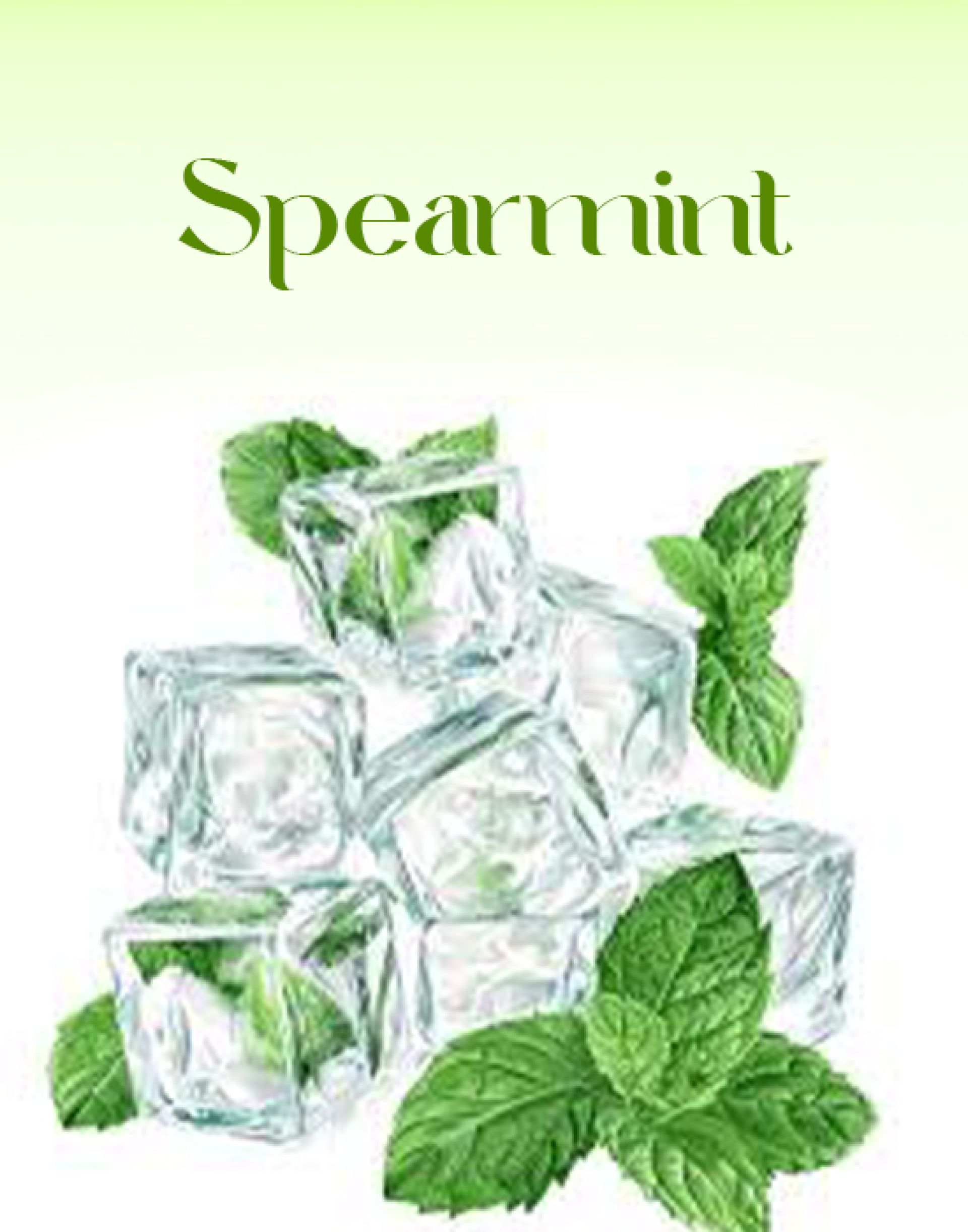 Spearmint